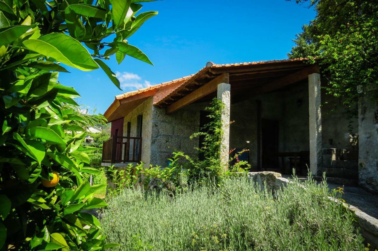 Casa Da Mouta - Douro Valley Baião Exteriér fotografie