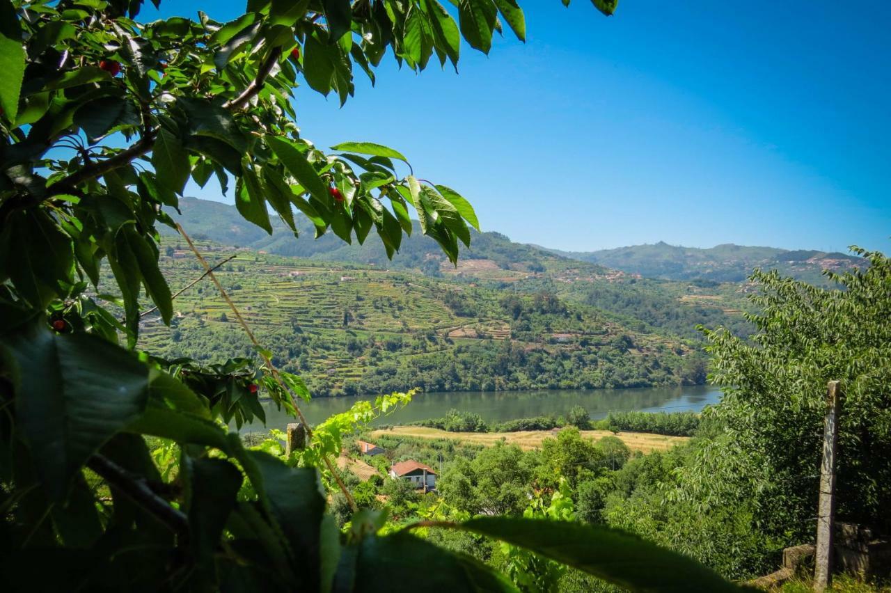 Casa Da Mouta - Douro Valley Baião Exteriér fotografie
