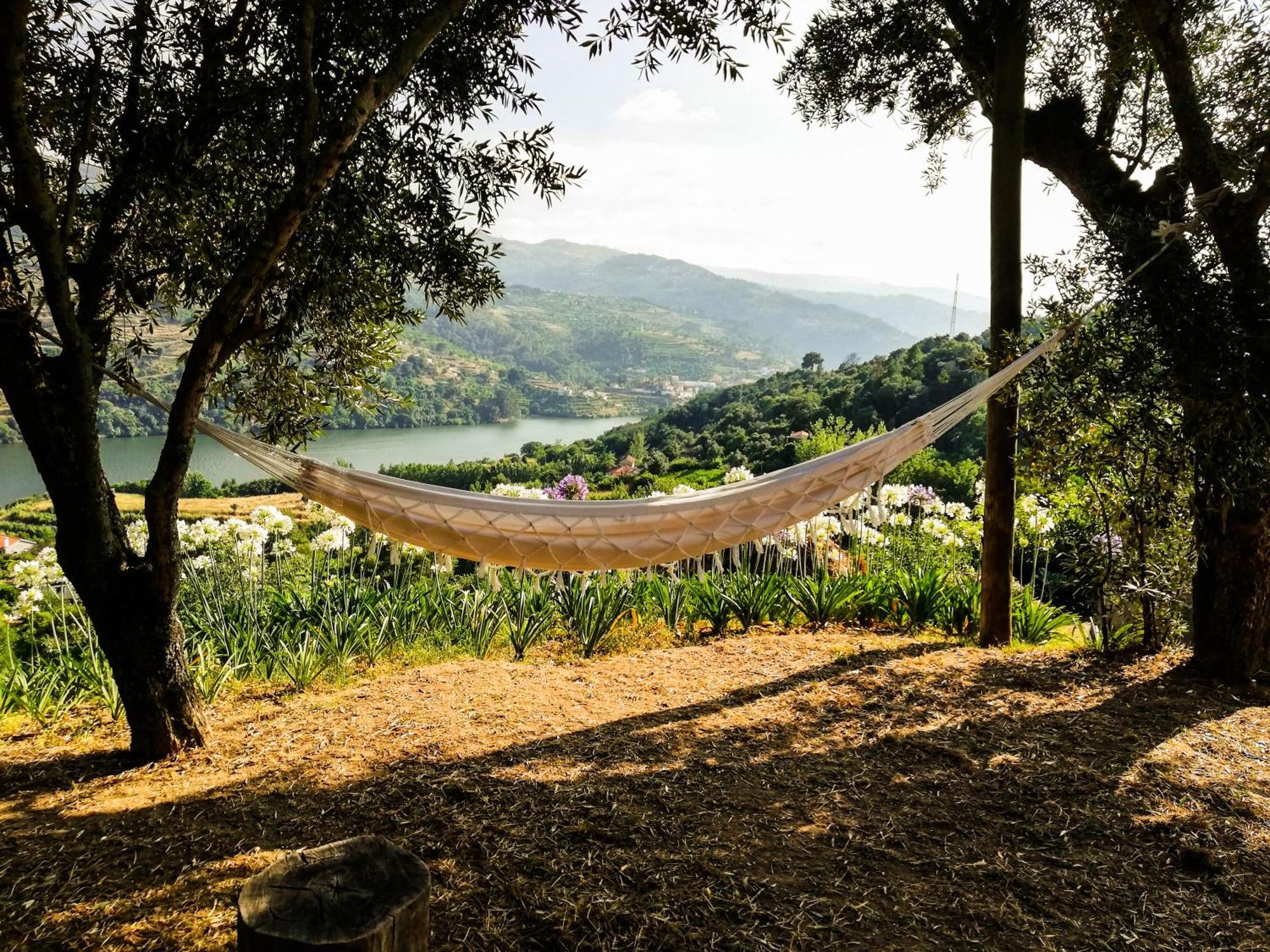 Casa Da Mouta - Douro Valley Baião Exteriér fotografie